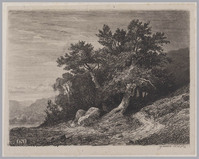 KG 14141
          <br/>
          heuvellandschap met meer
          <br/>
          <em>Calame, Alexandre (1810 - 1864)</em>